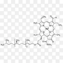 叶绿素a叶绿素b结构光合作用-科学-空若网 叶绿素a叶绿素b结构光合作用-科学-空若网