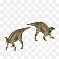 伶盗龙区系动物野生动物-龙骨龙-空若网 伶盗龙区系动物野生动物-龙骨龙-空若网