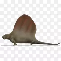 ��ʨ���궯��Ұ�����ﺣ��-������