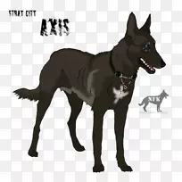 昆明狼犬澳大利亚海带犬-澳大利亚-空若网 昆明狼犬澳大利亚海带犬-澳大利亚-空若网