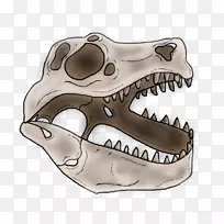 头骨恐龙骨架鼻子头骨-空若网 头骨恐龙骨架鼻子头骨-空若网