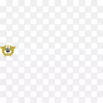 海关总署商品特快专递-空若网 海关总署商品特快专递-空若网