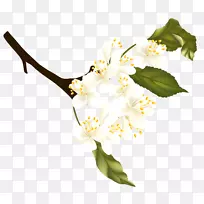 ���ɼ�����.���ɷ�֧Ԫ��PNG������-������