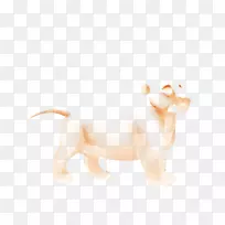 狮子狗,犬科,鼻子,-火狮-空若网 狮子狗,犬科,鼻子,-火狮-空若网