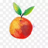 Ë®²Ê».Æ»¹ûË®-¿ÕÈôÍø Ë®²Ê».Æ»¹ûË®-¿ÕÈôÍø