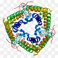 艺术身体珠宝有机体剪贴艺术珠宝首饰-空若网 艺术身体珠宝有机体剪贴艺术珠宝首饰-空若网
