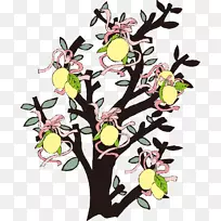 曼陀罗剪贴画-PNG芒果树载体材料-空若网 曼陀罗剪贴画-PNG芒果树载体材料-空若网