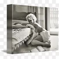 家具摄影白色-玛丽莲梦露素描-空若网 家具摄影白色-玛丽莲梦露素描-空若网