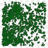 绿树、三叶树、灌木、叶树-空若网 绿树、三叶树、灌木、叶树-空若网