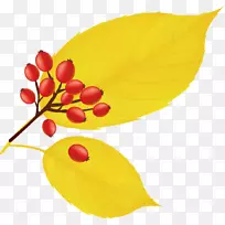 黄枫叶图标-秋天生活图标-空若网 黄枫叶图标-秋天生活图标-空若网