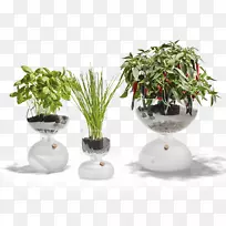 ²£Á§»¨Åè¸ÇÑÇ»¨Ô°²£Á§-¿ÕÈôÍø ²£Á§»¨Åè¸ÇÑÇ»¨Ô°²£Á§-¿ÕÈôÍø