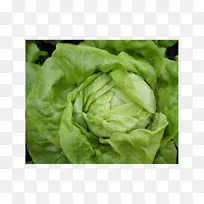 生菜、芹菜、叶菜色拉-蔬菜-空若网 生菜、芹菜、叶菜色拉-蔬菜-空若网