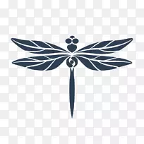 昆虫蜻蜓-空若网 昆虫蜻蜓-空若网