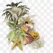 װ�α߿򲩿ͼ�����-������