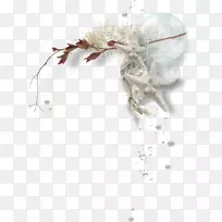 珠宝bmp文件格式剪贴画-空若网 珠宝bmp文件格式剪贴画-空若网