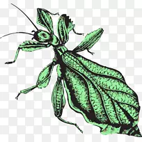 À¥³æºûµûµÀµÂÏ󳿵ÀµÂÐÄÀíѧÀ¥³æ-¿ÕÈôÍø À¥³æºûµûµÀµÂÏ󳿵ÀµÂÐÄÀíѧÀ¥³æ-¿ÕÈôÍø