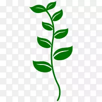 昆虫瓢虫剪贴画-昆虫-空若网 昆虫瓢虫剪贴画-昆虫-空若网