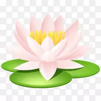 ����������ʥ��������-ˮ�ٺ�͸��PNGͼ��-������