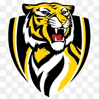 里士满足球俱乐部澳大利亚足球联盟布里斯班狮子弗里曼足球俱乐部墨尔本板球球场-空若网 里士满足球俱乐部澳大利亚足球联盟布里斯班狮子弗里曼足球俱乐部墨尔本板球球场-空若网