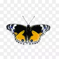 ºûµûÀ¥³æ¼ôÌù»-ºûµû-¿ÕÈôÍø ºûµûÀ¥³æ¼ôÌù»-ºûµû-¿ÕÈôÍø