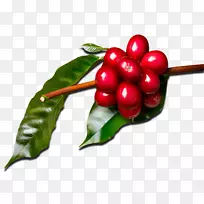 蔓越莓咖啡,八角咖啡,食物-兰达咖啡厅-空若网 蔓越莓咖啡,八角咖啡,食物-兰达咖啡厅-空若网