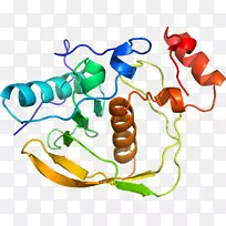 蔬菜有机体系列剪贴画-蔬菜-空若网 蔬菜有机体系列剪贴画-蔬菜-空若网