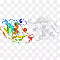 平面设计线艺术剪贴画设计-空若网 平面设计线艺术剪贴画设计-空若网