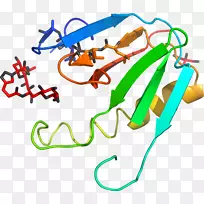 �ߵ������-��-������