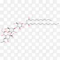 直线点角线-空若网 直线点角线-空若网