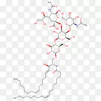 线点角图-线-空若网 线点角图-线-空若网