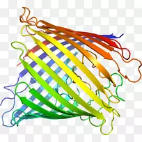 �ߵ����������-������