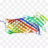 线点生物剪贴画线-空若网 线点生物剪贴画线-空若网