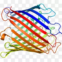 �ߵ������������-������