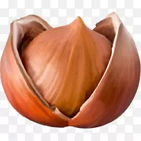 榛子坚果夹艺术-фундук-空若网 榛子坚果夹艺术-фундук-空若网