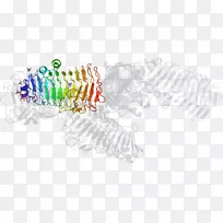 直线点线-空若网 直线点线-空若网