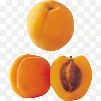 ÐÓ¹û³¤ÊÙÌÒÍÁÐÇÌÒ×ÓÐÓ-¿ÕÈôÍø ÐÓ¹û³¤ÊÙÌÒÍÁÐÇÌÒ×ÓÐÓ-¿ÕÈôÍø