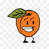 Ц��������·������-Ц��-������