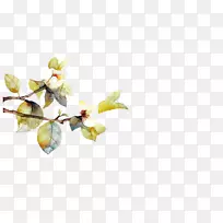 ˮ�ʻ����-������