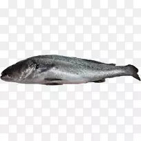 ������Ӷ������-������