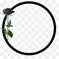 圆叶电子邮件剪辑艺术圈-空若网 圆叶电子邮件剪辑艺术圈-空若网