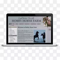 չʾ���Ʒ�ƶ�ý��-������-������