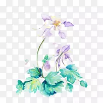 花卉设计水彩画插图水彩画花卉-空若网 花卉设计水彩画插图水彩画花卉-空若网