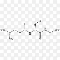 谷胱甘肽s-转移酶抗氧化自由基老化理论线粒体谷胱甘肽-空若网 谷胱甘肽s-转移酶抗氧化自由基老化理论线粒体谷胱甘肽-空若网