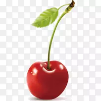 樱花-车体装饰-空若网 樱花-车体装饰-空若网