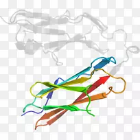 �ߵ������μ�����.��-������