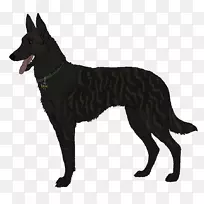 犬种:比利时牧羊犬,澳大利亚凯尔派,昆明狼狗-荷兰牧羊犬-空若网 犬种:比利时牧羊犬,澳大利亚凯尔派,昆明狼狗-荷兰牧羊犬-空若网