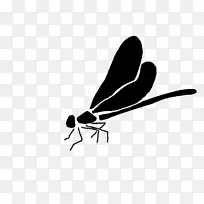 ºûµûÀ¥³æ-ºûµû-¿ÕÈôÍø ºûµûÀ¥³æ-ºûµû-¿ÕÈôÍø