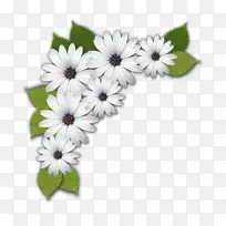 花卉设计切花花环菊花-空若网 花卉设计切花花环菊花-空若网