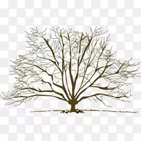 树枝秋天剪贴画-树-空若网 树枝秋天剪贴画-树-空若网