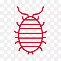 �������������-������